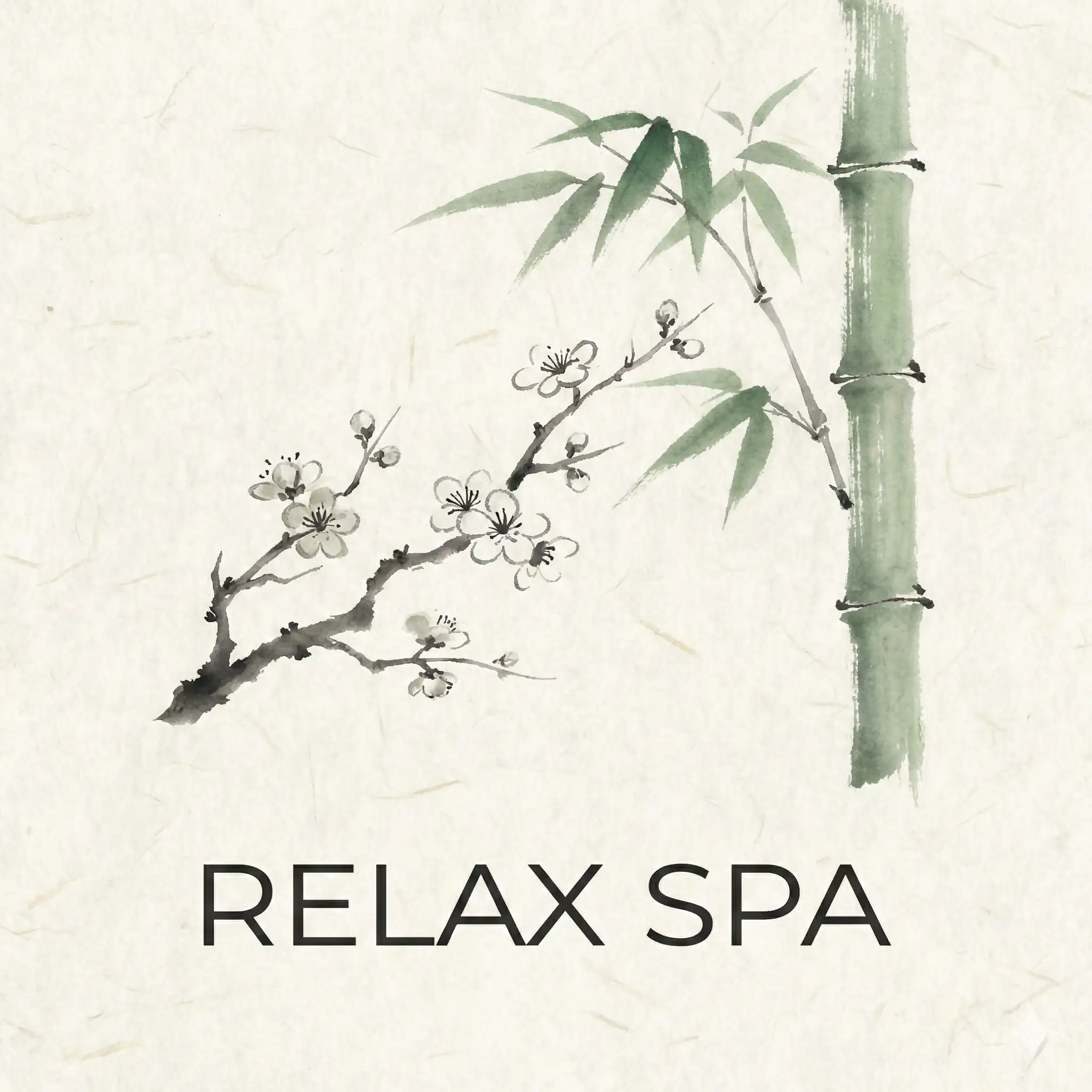 Relax Spa New